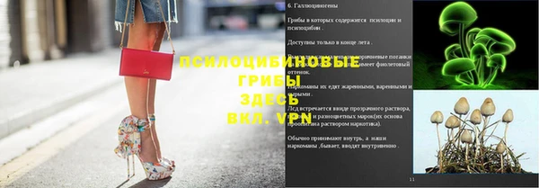 марки lsd Алексеевка