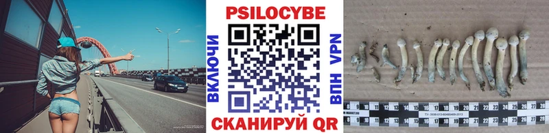 Псилоцибиновые грибы ЛСД  Кондопога 