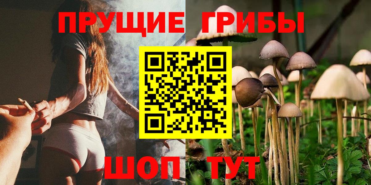 Галлюциногенные грибы Psilocybine cubensis  Галлюциногенные грибы GOLDEN TEACHER  Кондопога  Вход с VPN 