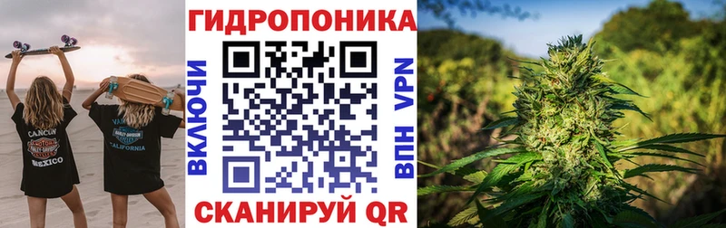 где купить   Кондопога  hydra ссылки  Канабис Amnesia 